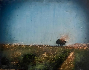 S.Paumelle - ST 4 - 15 x 20 cm - Tirage argentique, pigments sur bois